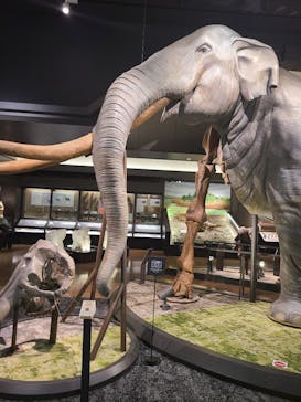 滋賀県立琵琶湖博物館に投稿された画像（2024/6/14）