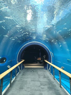 滋賀県立琵琶湖博物館に投稿された画像（2024/6/14）