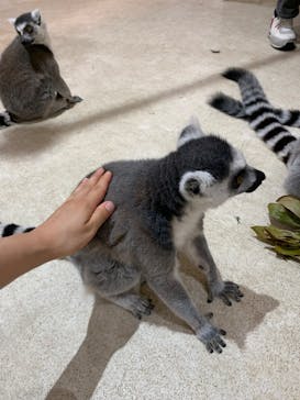 アニタッチららぽーと名古屋みなとアクルスに投稿された画像（2024/6/14）