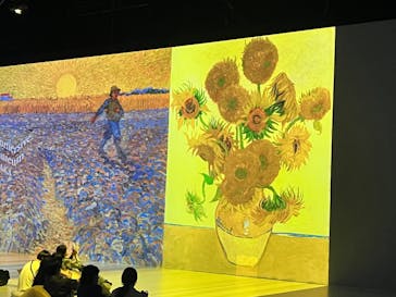 Immersive Museum OSAKA 2025に投稿された画像（2024/6/14）