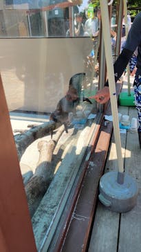 横浜・八景島シーパラダイスに投稿された画像（2024/6/14）