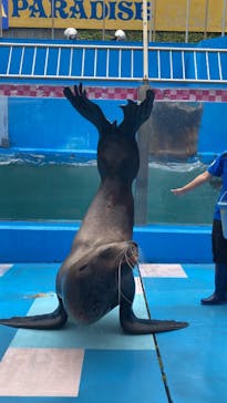 ゼロ距離水族館 伊勢シーパラダイスに投稿された画像（2024/6/14）