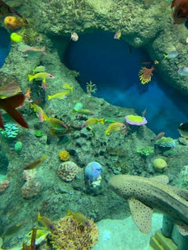 レゴランドⓇ・ジャパン・リゾートに投稿された画像（2024/6/14）