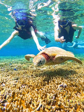 宮古島 ADVENTURE PiPi（ミヤコジマ アドベンチャー ピピ）に投稿された画像（2024/6/14）