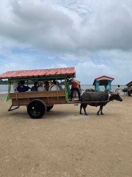 西表島 ADVENTURE PiPi（アドベンチャーピピ）に投稿された画像（2024/6/14）