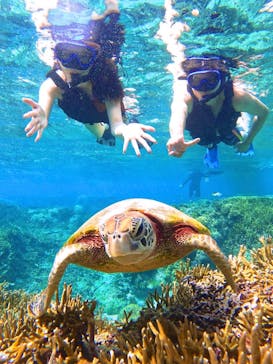 宮古島 ADVENTURE PiPi（ミヤコジマ アドベンチャー ピピ）に投稿された画像（2024/6/14）