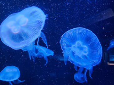 AOAO SAPPOROに投稿された画像（2024/6/14）