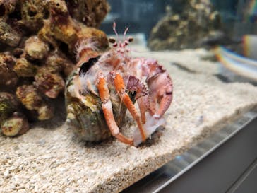 AOAO SAPPOROに投稿された画像（2024/6/14）