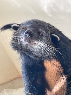 那須どうぶつ王国に投稿された画像（2024/6/14）