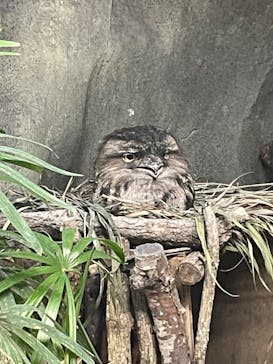 那須どうぶつ王国に投稿された画像（2024/6/14）