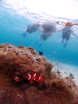 CHAMP TOUR　宮古島に投稿された画像（2024/6/14）