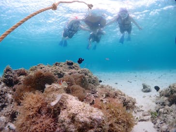 CHAMP TOUR　宮古島に投稿された画像（2024/6/14）