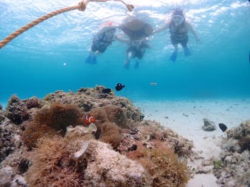 CHAMP TOUR　宮古島に投稿された画像（2024/6/14）