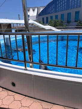 マリンワールド海の中道に投稿された画像（2024/6/14）