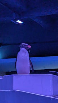 AOAO SAPPOROに投稿された画像（2024/6/14）