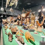 特別展「大哺乳類展３－わけてつなげて大行進」に投稿された画像（2024/6/14）