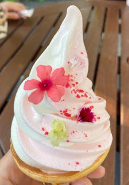 横浜イングリッシュガーデンに投稿された画像（2024/6/14）