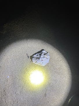 石垣島 ADVENTURE PiPi（イシガキジマアドベンチャーピピ）に投稿された画像（2024/6/14）