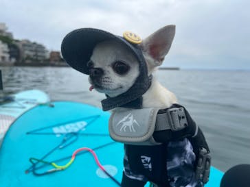 TOMO's スタンドアップパドルボーディングスクールに投稿された画像（2024/6/14）