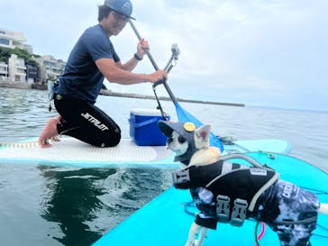 TOMO's スタンドアップパドルボーディングスクールに投稿された画像（2024/6/14）