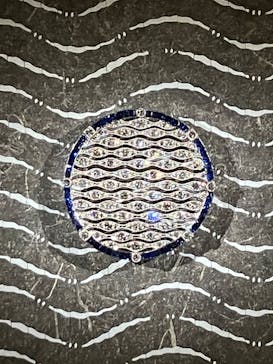 カルティエと日本　半世紀のあゆみ　「結 MUSUBI」展 ― 美と芸術をめぐる対話（東京国立博物館　表慶館））に投稿された画像（2024/6/14）