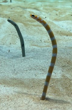 アクアワールド茨城県大洗水族館に投稿された画像（2024/6/14）