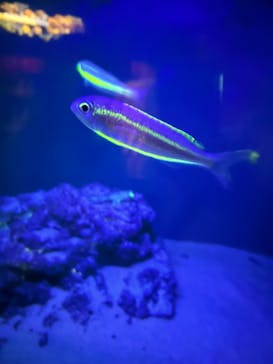 沖縄美ら海水族館に投稿された画像（2024/6/14）