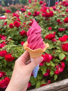 いばらきフラワーパークに投稿された画像（2024/6/14）