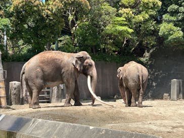 横浜市立金沢動物園に投稿された画像（2024/6/15）