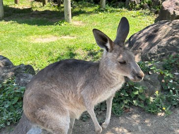 横浜市立金沢動物園に投稿された画像（2024/6/15）