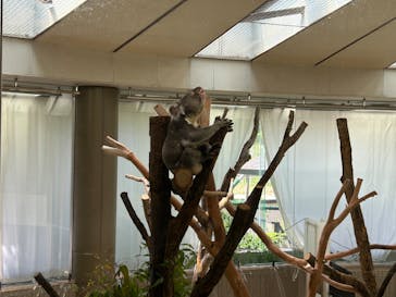 横浜市立金沢動物園に投稿された画像（2024/6/15）