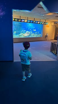 しながわ水族館に投稿された画像（2024/6/15）