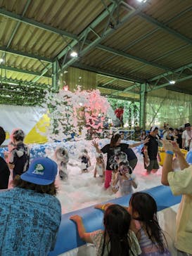 狭山スキー場に投稿された画像（2024/6/15）