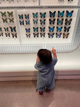 国立科学博物館に投稿された画像（2024/6/15）