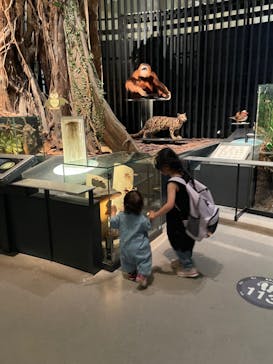 国立科学博物館に投稿された画像（2024/6/15）