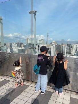 国立科学博物館に投稿された画像（2024/6/15）