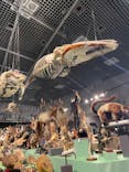 特別展「大哺乳類展３－わけてつなげて大行進」に投稿された画像（2024/6/15）