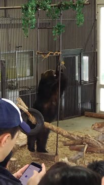 のぼりべつクマ牧場に投稿された画像（2024/6/15）