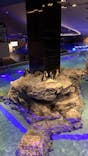 すみだ水族館に投稿された画像（2024/6/15）