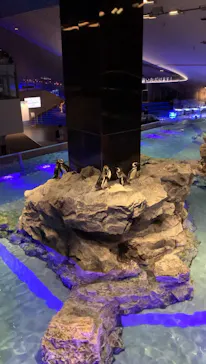 すみだ水族館に投稿された画像（2024/6/15）