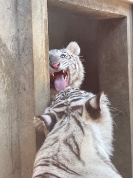 宇都宮動物園に投稿された画像（2024/6/15）