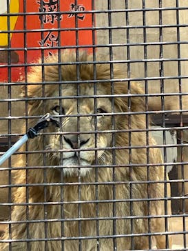 宇都宮動物園に投稿された画像（2024/6/15）