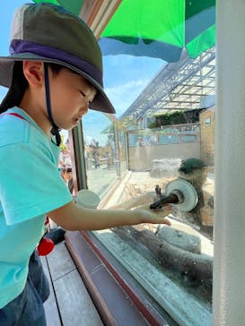 横浜・八景島シーパラダイスに投稿された画像（2024/6/15）