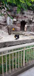 天王寺動物園に投稿された画像（2024/6/15）