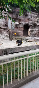 天王寺動物園に投稿された画像（2024/6/15）