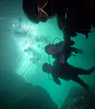 武藤潜水に投稿された画像（2024/6/15）