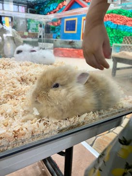 いきもの探検隊上尾に投稿された画像（2024/6/15）