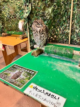 いきもの探検隊上尾に投稿された画像（2024/6/15）