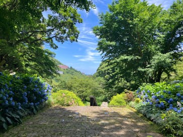 ACAO FORESTに投稿された画像（2024/6/15）