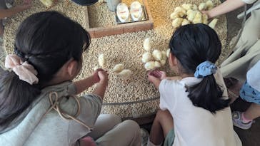 Moff animal cafe 小田原ダイナシティ店に投稿された画像（2024/6/15）